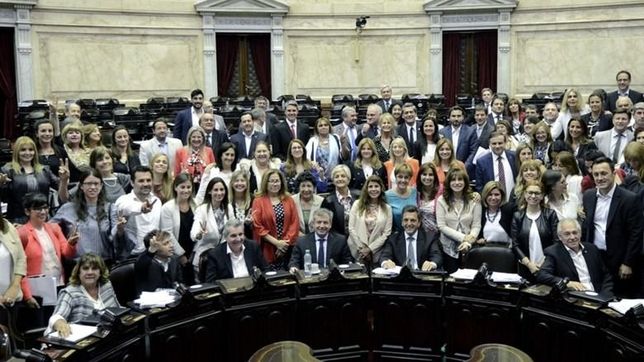 Letra P | Ley de paridad de género