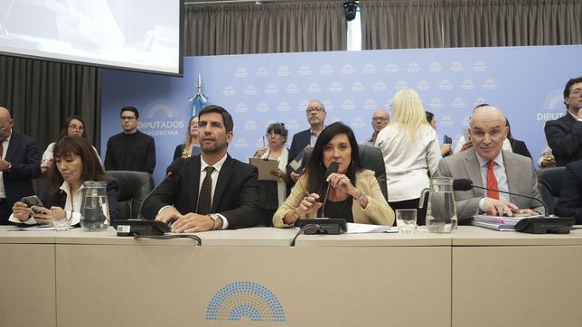 Laura Rodríguez Machado  (PRO) y Manuel Quintar (LLA), durante el plenario del proyecto de Patricia Bullrich para bajar la edad de imputabilidad. 