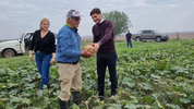 Pullaro y su compañera de fórmula Gisela Scaglia visitante productor horticultor.