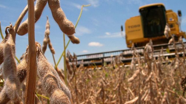 la trinchera sojera que tiene el boton para liquidar el sueno de pesce