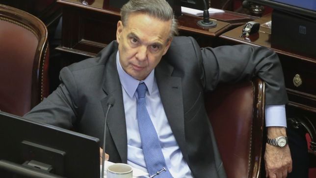pichetto: inmolarse por el ajuste va a sellar la suerte del gobierno en 2019?