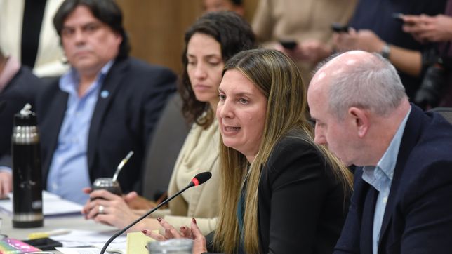 Silvia Lospennato (PRO), durante la comisión de Fentanilo, en la que no habló nadie de La Libertad Avanza.&nbsp;
