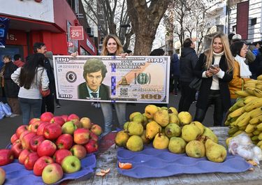 Cómo (no) funcionaría la dolarización en la Argentina