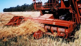 Fernández sale a contener al campo: “No estamos subiendo retenciones”