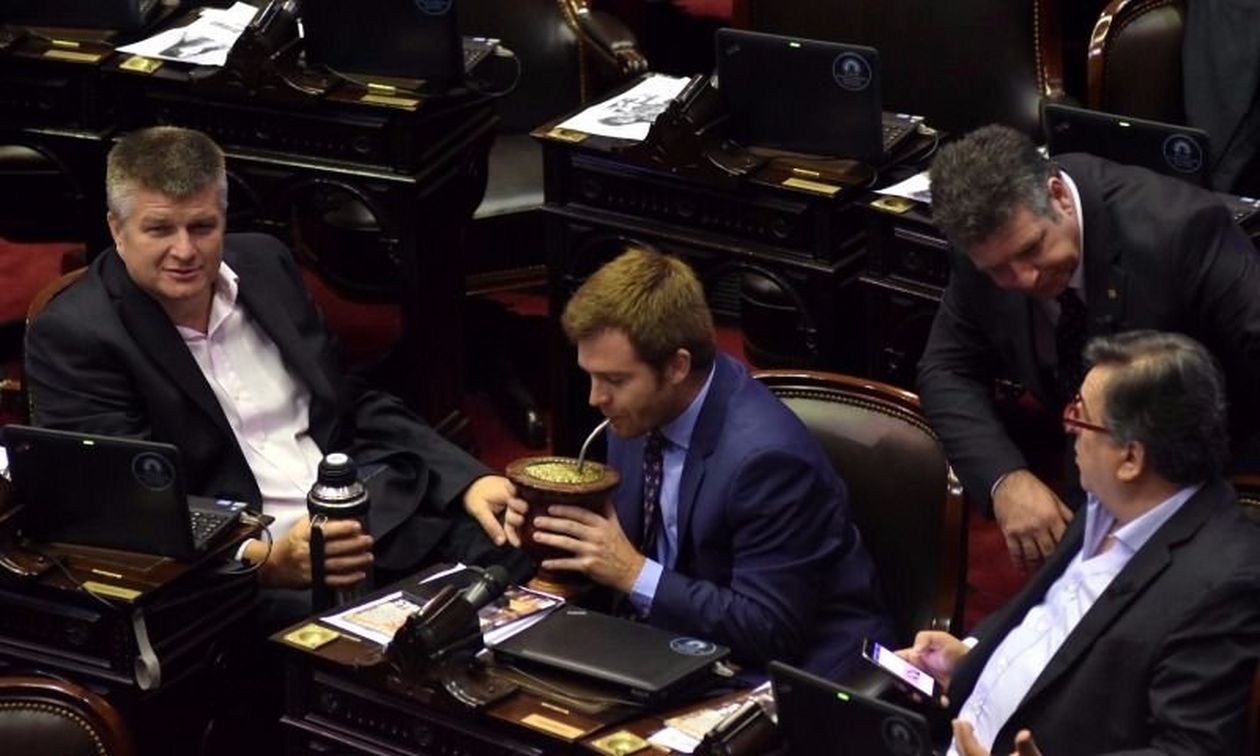 Reforma electoral Diputados Massot Negri Tonelli