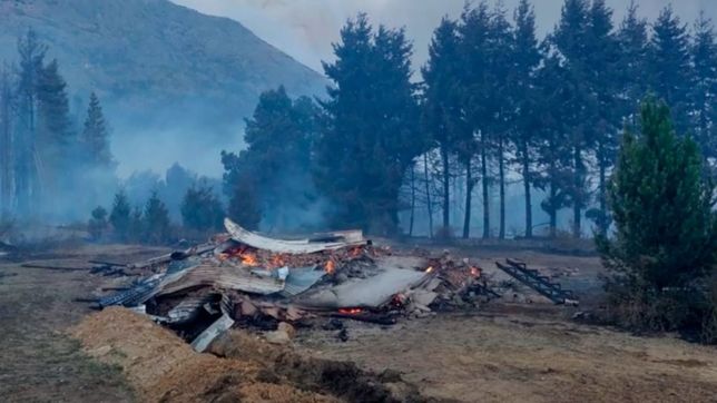 hay futuro y es verde