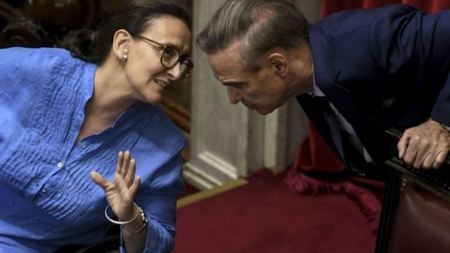 michetti desafio el poder de pichetto en el senado y termino cediendo