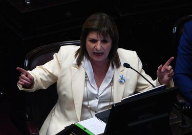 Patricia Bullrich, en el Senado.&nbsp;