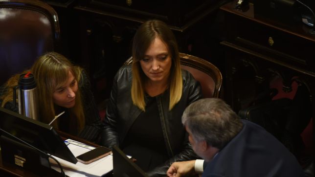 Juliana Di Tullio, Anabel Fernández Sagasti y José Mayans (UP), enviaron una carta a Victoria Villarruel. 