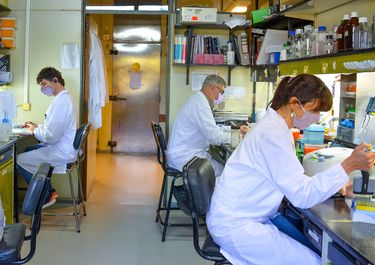 Desmantelamiento y remate en tiempos de anarcocapitalismo libertario