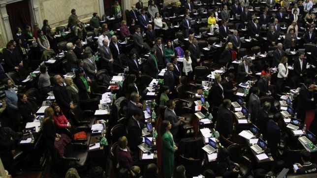 despenalizacion del aborto: como voto cada diputado