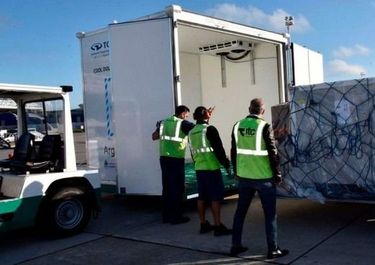 Michel: El objetivo de la aduana es proteger la industria nacional