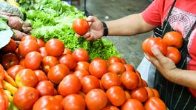 El precio del tomate: cómo se (de)forma un precio
