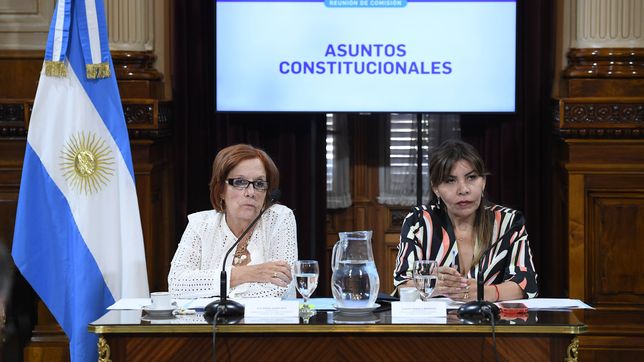 Alejandra Vigo (PU) y Sandra Mendoza (UP), durante el debate por Ficha limpia.&nbsp;