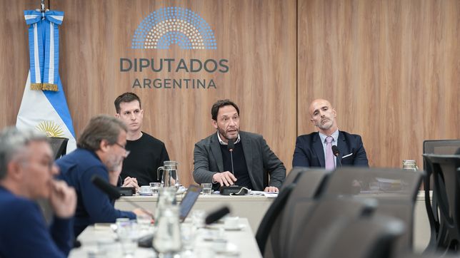 Maximiliano Ferraro, diputado de la CC y presidente de la comisión $Libra. La oposición quiere que exponga Karina Milei.&nbsp;
