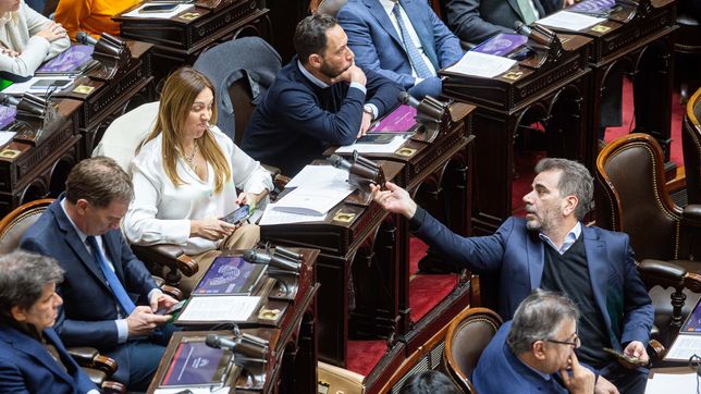 ley de alquileres: jxc no pudo derogarla, se conformo con una reforma y milei ataco