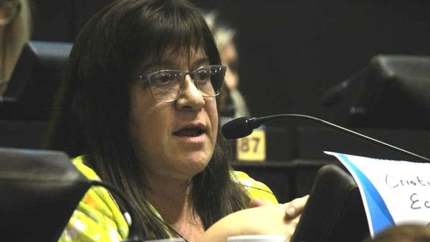 “En la provincia de Buenos Aires, los programas de género fueron desmantelados”