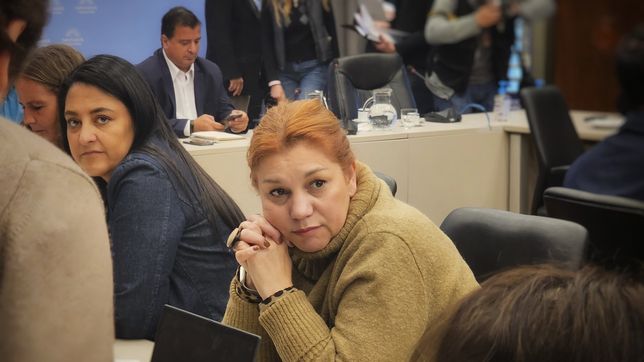 una diputada radical que no apoya a milei tambien fue amenazada de muerte