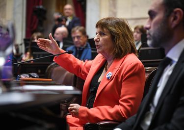 Patricia Bullrich, en la sesión del Senado.