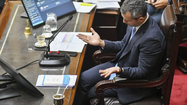 Martín Menem, presidente de la Cámara de Diputados. Martín Menem, presidente de la Cámara de Diputados.