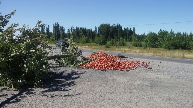 se reaviva el conflicto entre productores patagonicos, provincias y nacion
