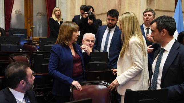 Patricia Bullrich, en la sesión del Senado.&nbsp;