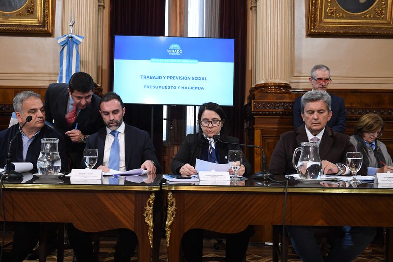 El plenario de las comisiones que debatió sobre jubilaciones.&nbsp;