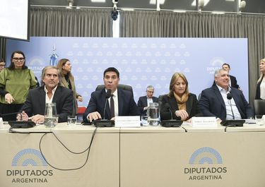 La secretaria de energía, María CarmenTetamanti, durante el debate del proyecto del Gobierno para reducir zonas frías.&nbsp;