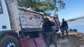 La AFIP y la agroindustria siguen de cerca la ruta negra de la soja