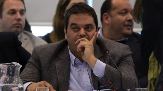 el gobierno critica la excarcelacion de boudou: triaca, dolido ?como ciudadano?