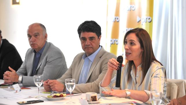 vidal renuncia a la presidencia del pro bonaerense y asume jorge macri