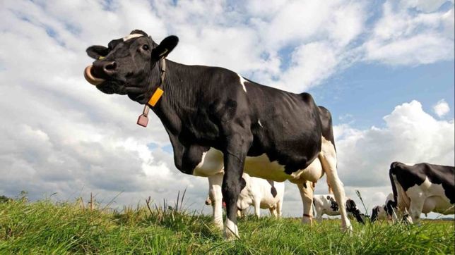 herencia+pandemia, desafio colosal para la (exhausta) teta del estado