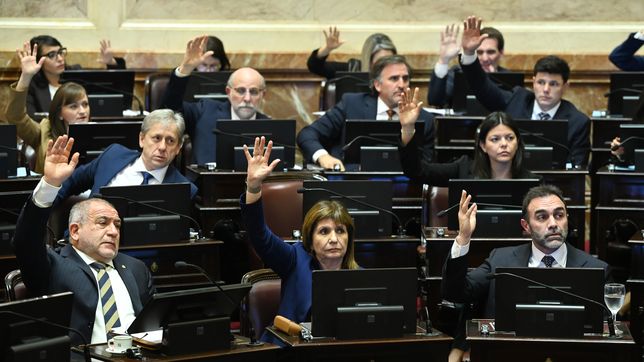 El bloque La Libertad Avanza del Senado.&nbsp;