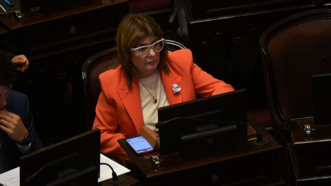 Patricia Bullrich, jefa de LLA en el Senado, perdió una interna con Karina Milei.&nbsp;