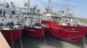Barcos de la empresa pesquera Conarpesa