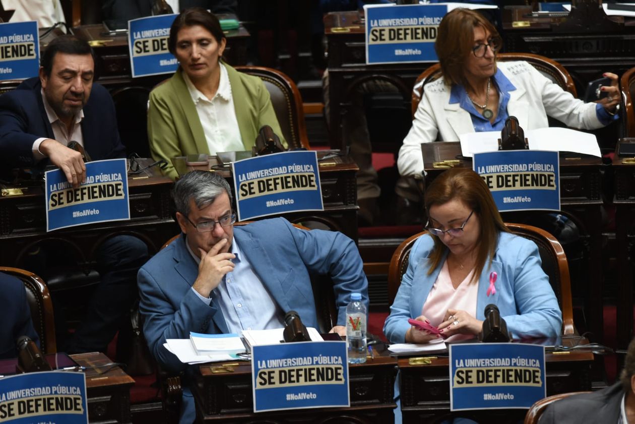 Germán Martínez, de UP, intentó derogar el DNU clave de Javier Milei.&nbsp;