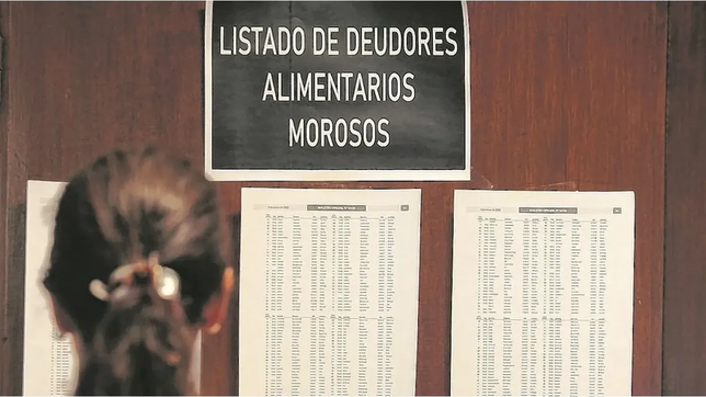 en la provincia de buenos aires no tendran beneficios societarios los deudores alimentarios