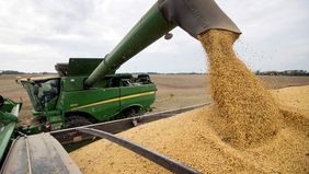 El aumento del combustible por la guerra en Irán puso en peligro la rentabilidad de la cosecha de soja