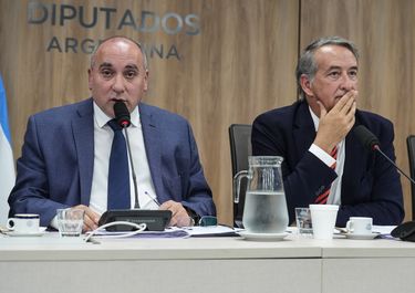 José Peluc y Nicolás Mayoraz, diputados de La Libertad Avanza que representan al Gobierno en la ley de glaciares.&nbsp;