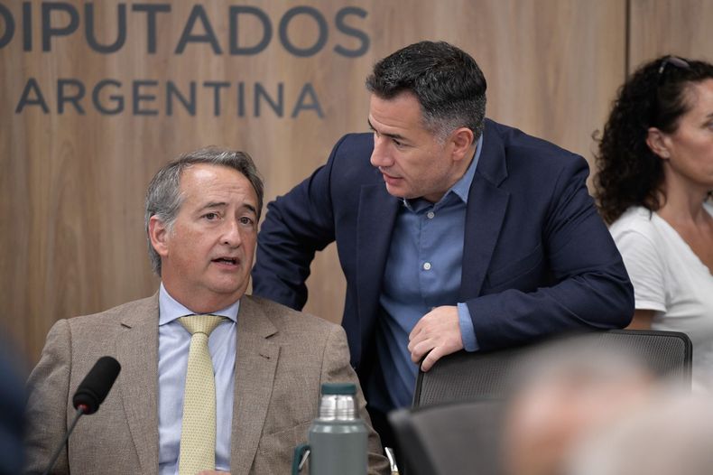 Nicolás Mayoraz y Gabriel Bornoroni, de La Libertad Avanza, a cargo de defender a Manuel Adorni.&nbsp;
