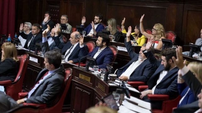 la ucr y el pro se disputan la agenda legislativa opositora