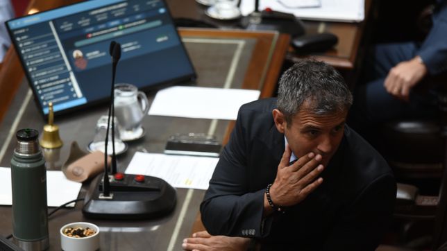 Martín Menem, presidente de la Cámara de Diputados.  