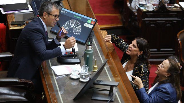 Martín Menem discute con Cecilia Moreau.&nbsp;
