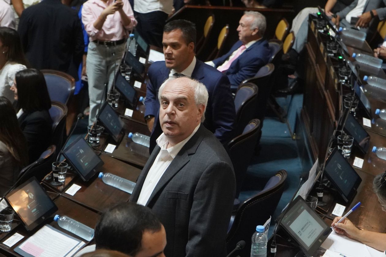 Alejandro Rabinovich y Agustín Forchieri, del bloque PRO en Diputados.