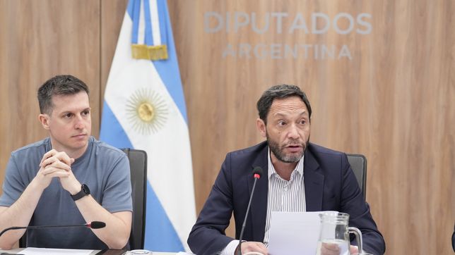 Juan Marino y Maximiliano Ferraro, durante la comisión investigadora de $Libra, que evalúa a Javier Milei. 