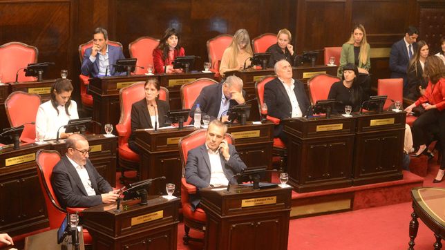 Bloque UP Senado bonaerense