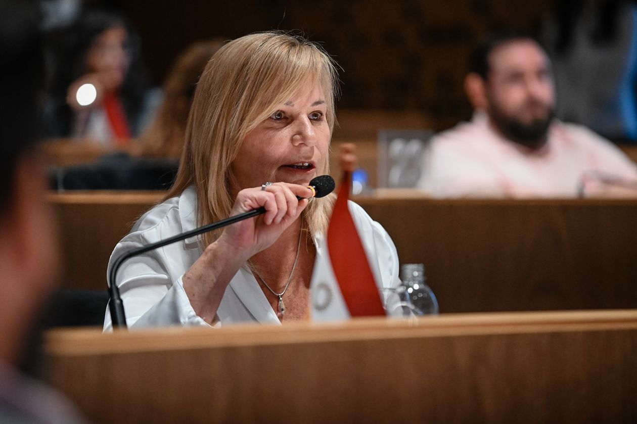 Elisa Caffaratti, presidenta del bloque radical en el Concejo Deliberante de la ciudad de Córdoba.
