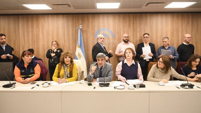 Pablo Yedlin, presidente de la Comisión de Salud de Diputados, donde la oposición logró dictaminar la emergencia pediátrica.&nbsp;