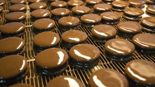 la multa por no votar cuesta menos que un guaymallen