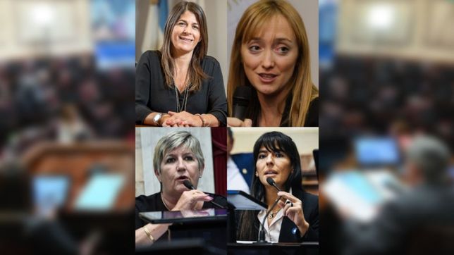 sororidad transversal para la guerra del senado
